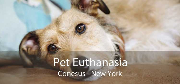 Pet Euthanasia Conesus - New York