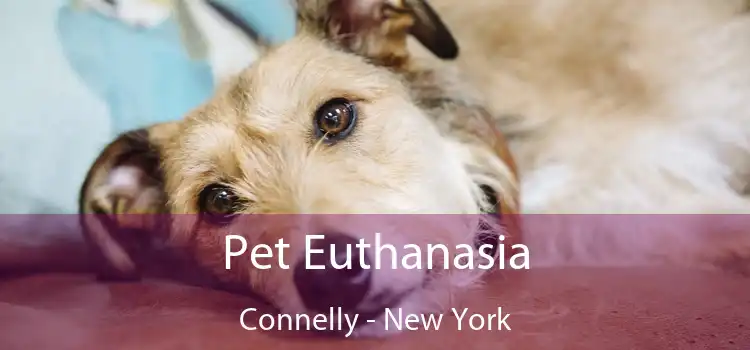 Pet Euthanasia Connelly - New York