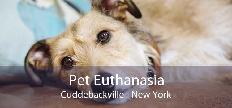 Pet Euthanasia Cuddebackville - New York