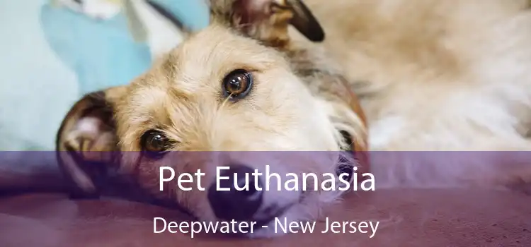 Pet Euthanasia Deepwater - New Jersey