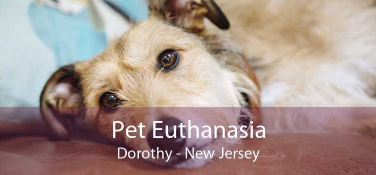 Pet Euthanasia Dorothy - New Jersey