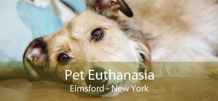 Pet Euthanasia Elmsford - New York