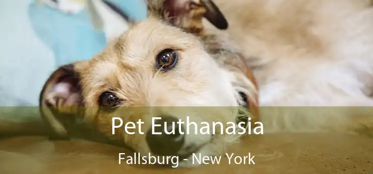 Pet Euthanasia Fallsburg - New York