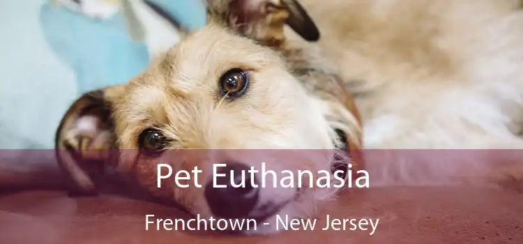 Pet Euthanasia Frenchtown - New Jersey