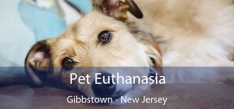 Pet Euthanasia Gibbstown - New Jersey
