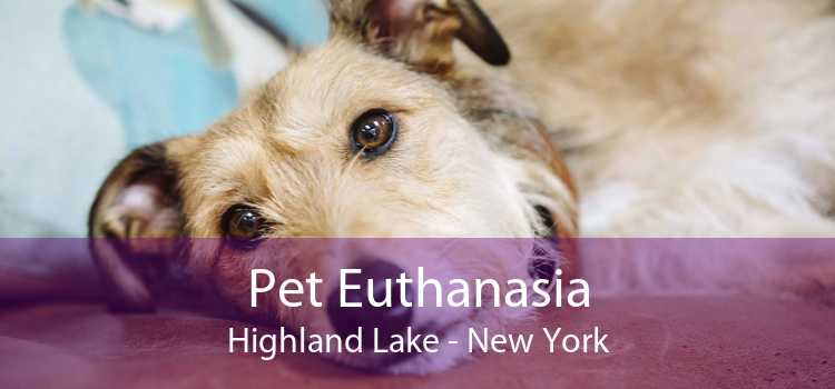Pet Euthanasia Highland Lake - New York