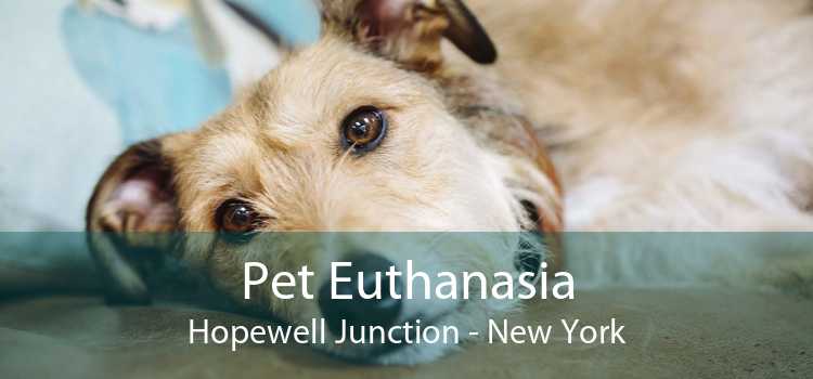 Pet Euthanasia Hopewell Junction - New York