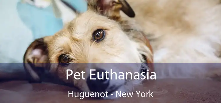 Pet Euthanasia Huguenot - New York