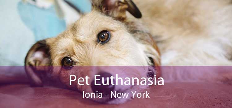 Pet Euthanasia Ionia - New York