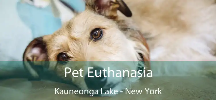 Pet Euthanasia Kauneonga Lake - New York