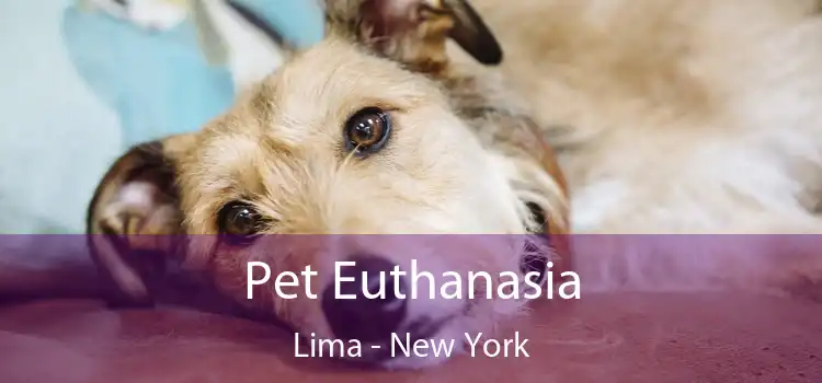 Pet Euthanasia Lima - New York