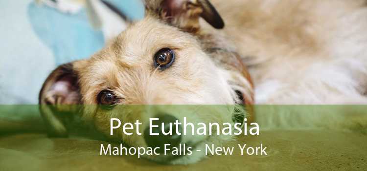 Pet Euthanasia Mahopac Falls - New York