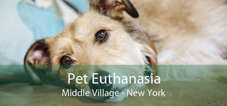 Pet Euthanasia Middle Village - New York