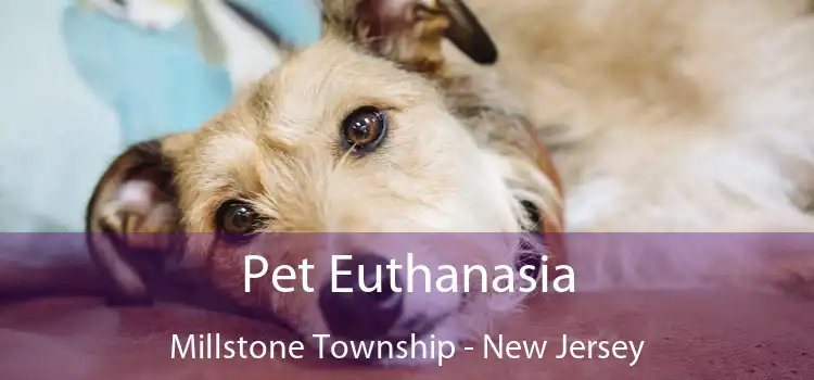 Pet Euthanasia Millstone Township - New Jersey