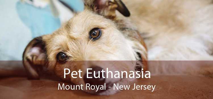 Pet Euthanasia Mount Royal - New Jersey