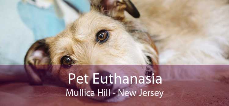 Pet Euthanasia Mullica Hill - New Jersey