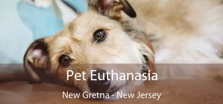 Pet Euthanasia New Gretna - New Jersey