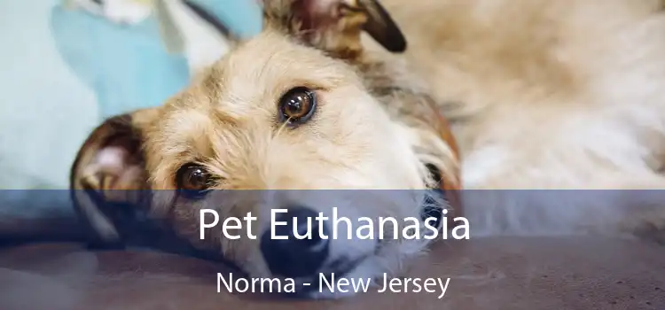 Pet Euthanasia Norma - New Jersey