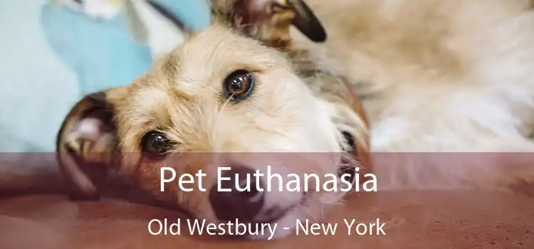 Pet Euthanasia Old Westbury - New York