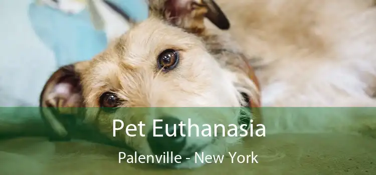 Pet Euthanasia Palenville - New York