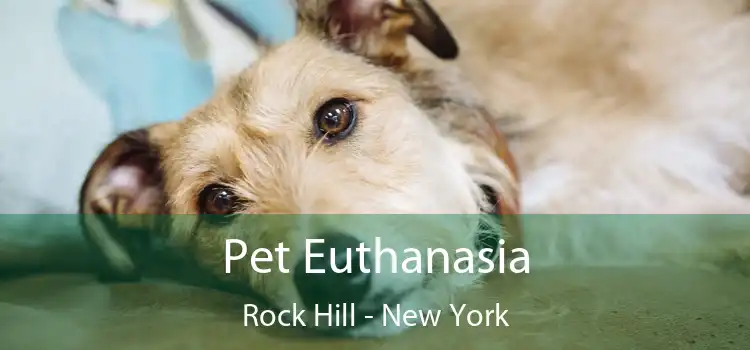 Pet Euthanasia Rock Hill - New York