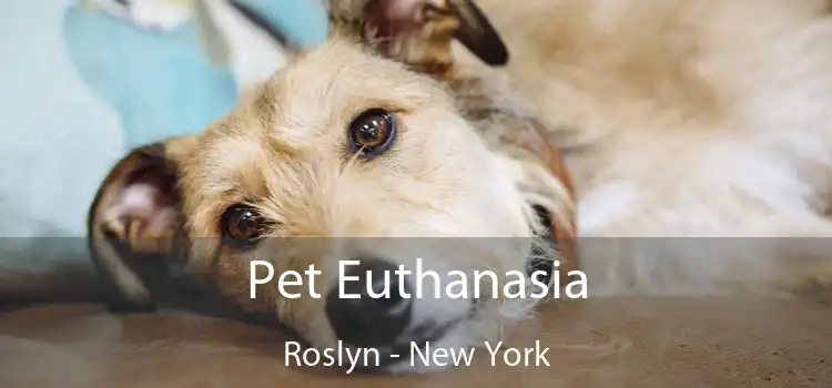 Pet Euthanasia Roslyn - New York