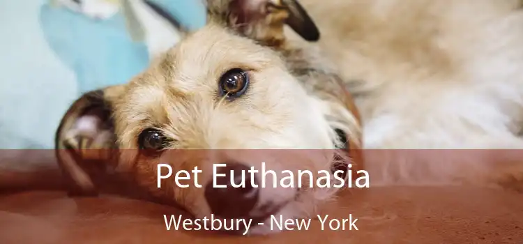Pet Euthanasia Westbury - New York