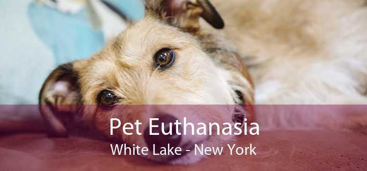 Pet Euthanasia White Lake - New York