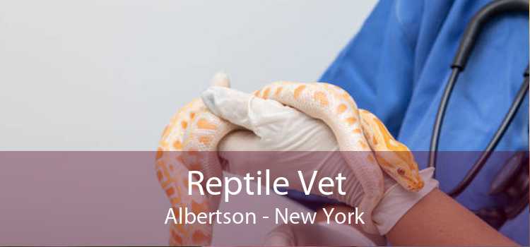 Reptile Vet Albertson - New York