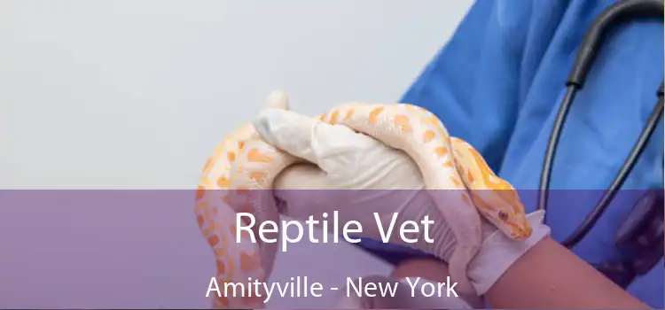 Reptile Vet Amityville - New York