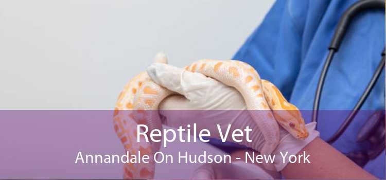 Reptile Vet Annandale On Hudson - New York