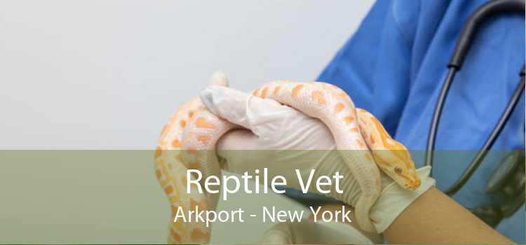 Reptile Vet Arkport - New York