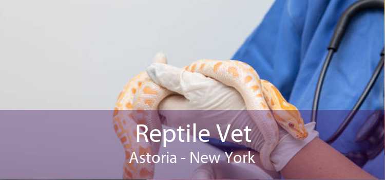 Reptile Vet Astoria - New York