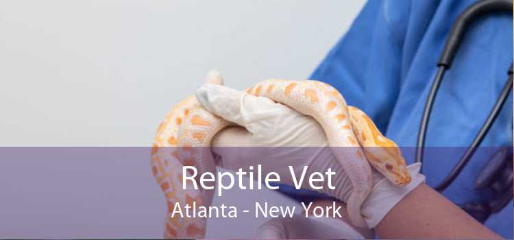Reptile Vet Atlanta - New York