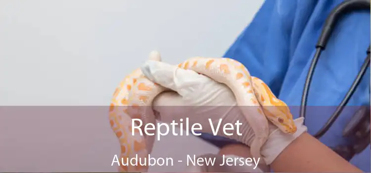 Reptile Vet Audubon - New Jersey