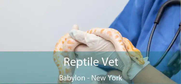 Reptile Vet Babylon - New York