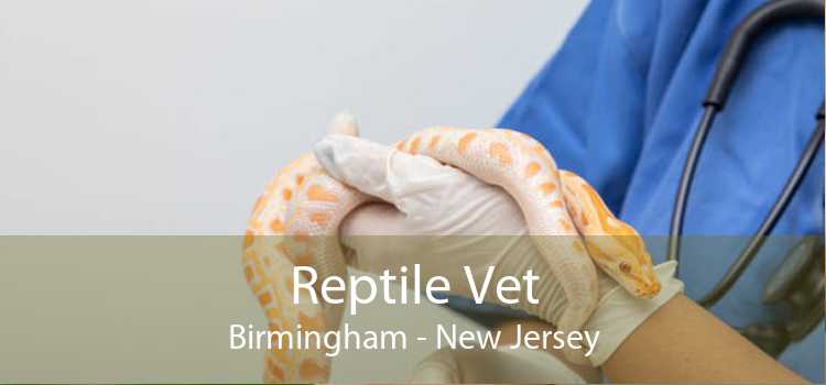Reptile Vet Birmingham - New Jersey