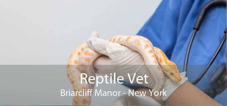 Reptile Vet Briarcliff Manor - New York