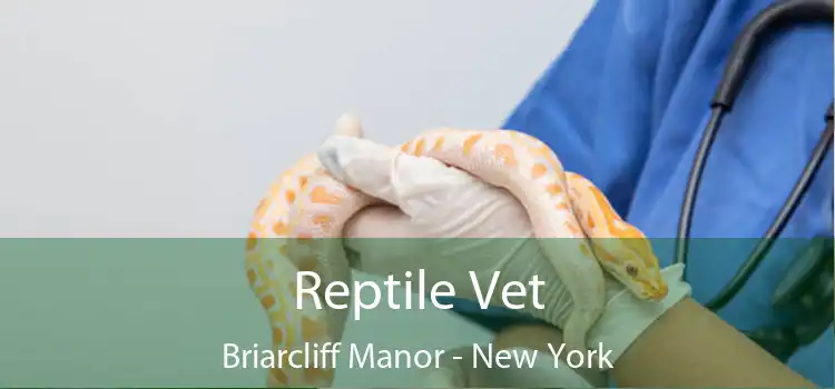 Reptile Vet Briarcliff Manor - New York