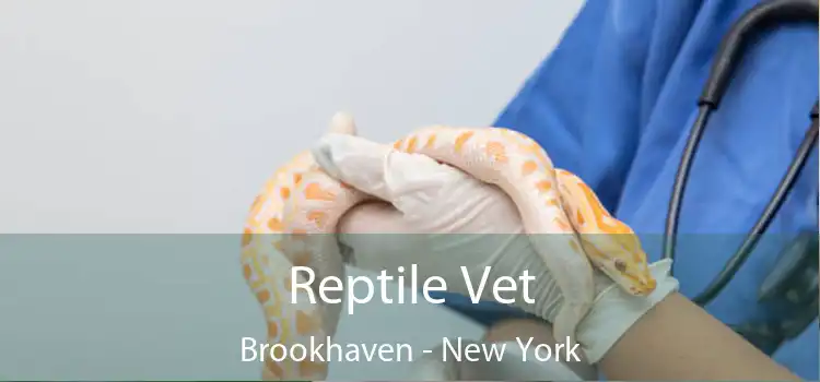 Reptile Vet Brookhaven - New York