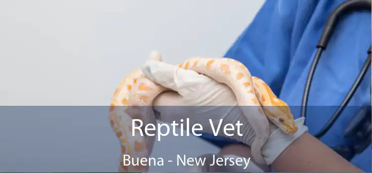 Reptile Vet Buena - New Jersey