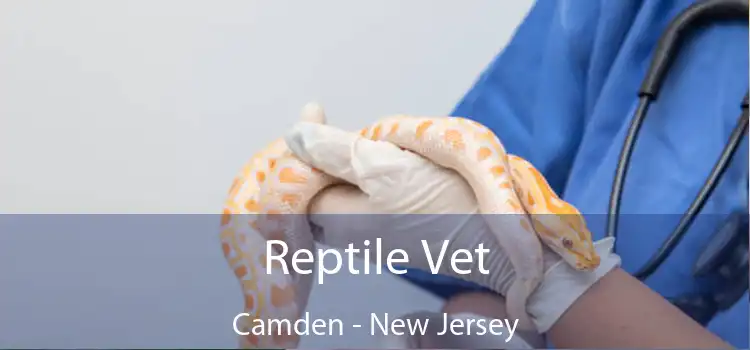 Reptile Vet Camden - New Jersey