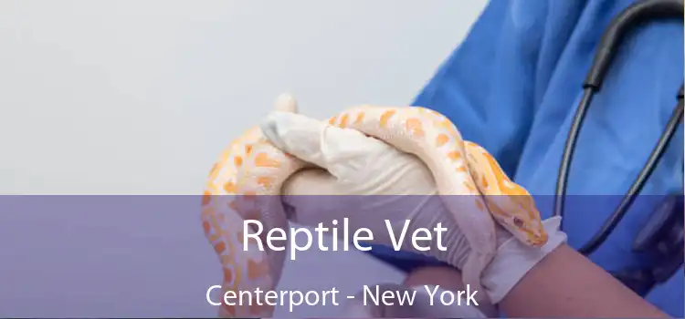Reptile Vet Centerport - New York