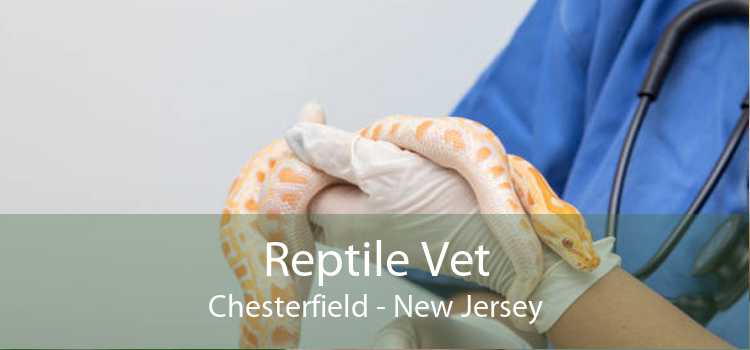 Reptile Vet Chesterfield - New Jersey