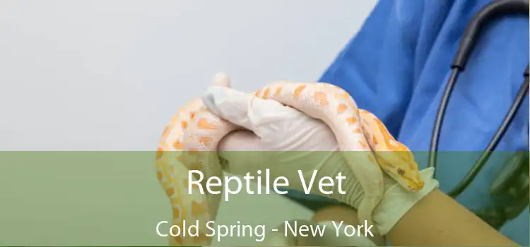 Reptile Vet Cold Spring - New York