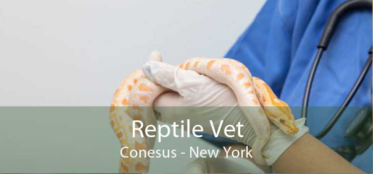Reptile Vet Conesus - New York