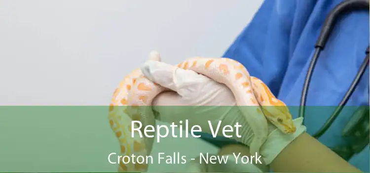 Reptile Vet Croton Falls - New York