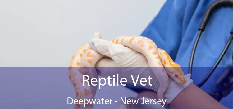 Reptile Vet Deepwater - New Jersey