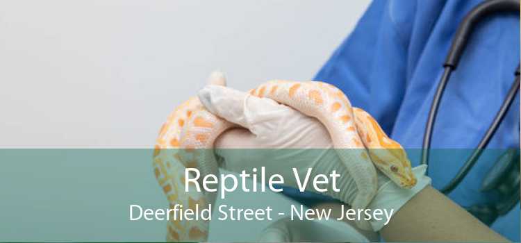 Reptile Vet Deerfield Street - New Jersey