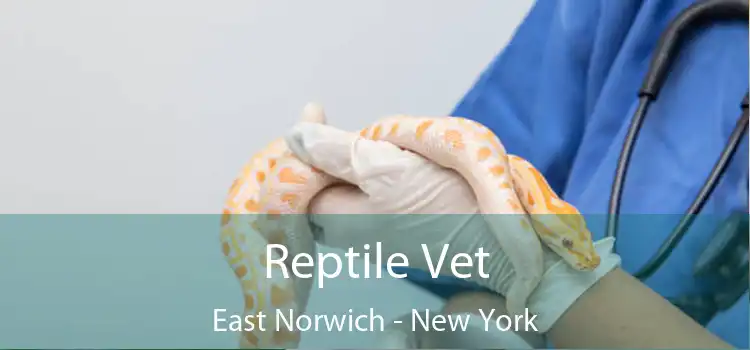 Reptile Vet East Norwich - New York